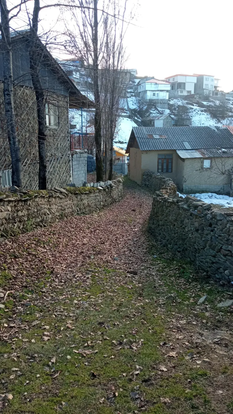 روستای شالینگچال - تصویر 6