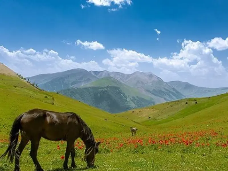 شکردشت - تصویر 10