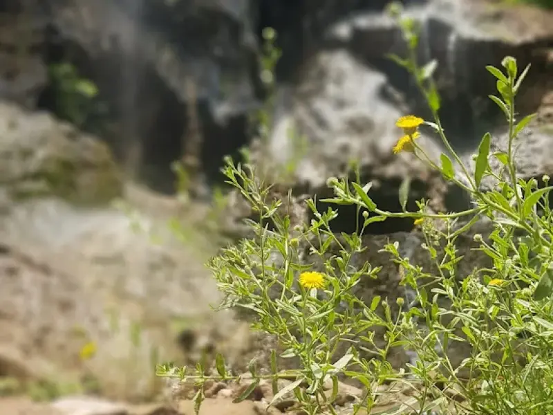 آبشار کمرد - تصویر 1