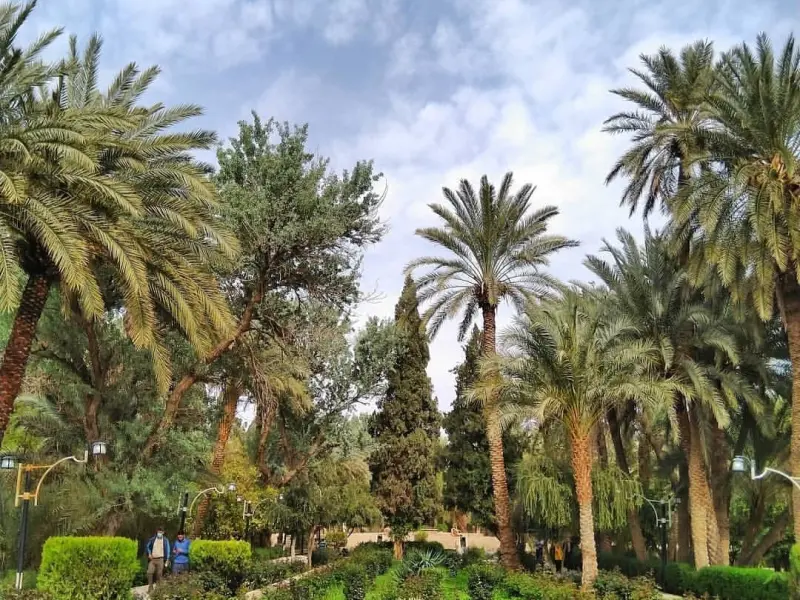 باغ گلشن طبس - تصویر 2