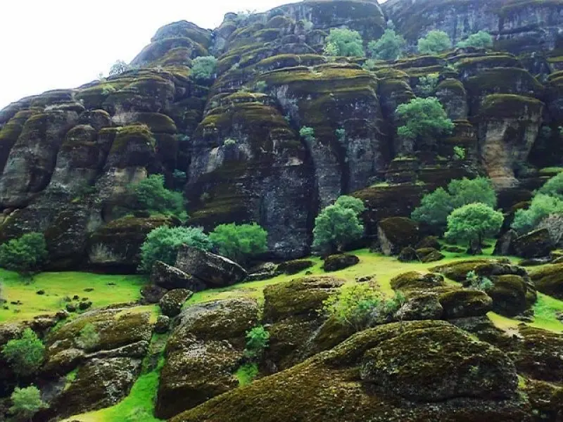 پارک جنگلی مخمل‌کوه - تصویر 3