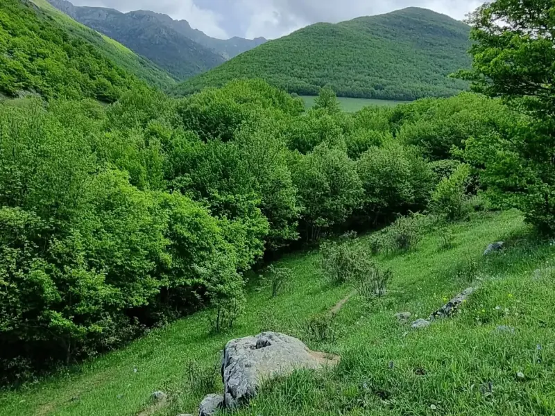دره مکیدی - تصویر 7