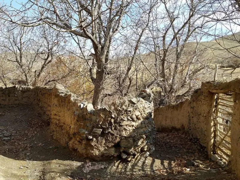 روستای طایمه