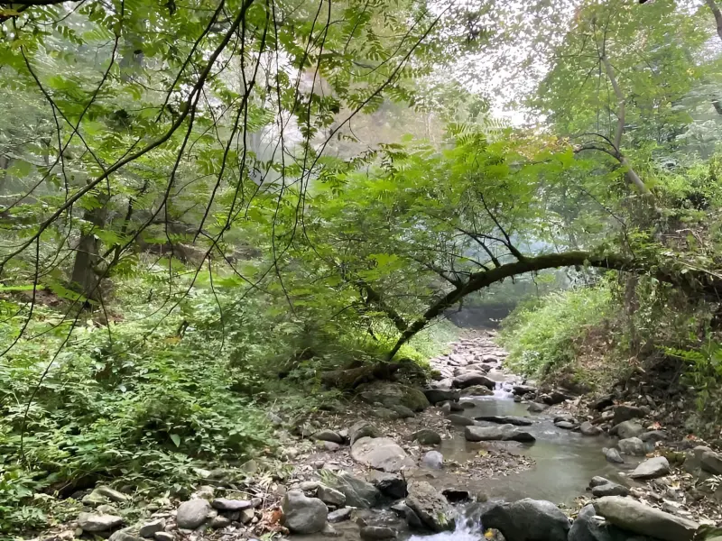 آبشار لوارد - تصویر 1