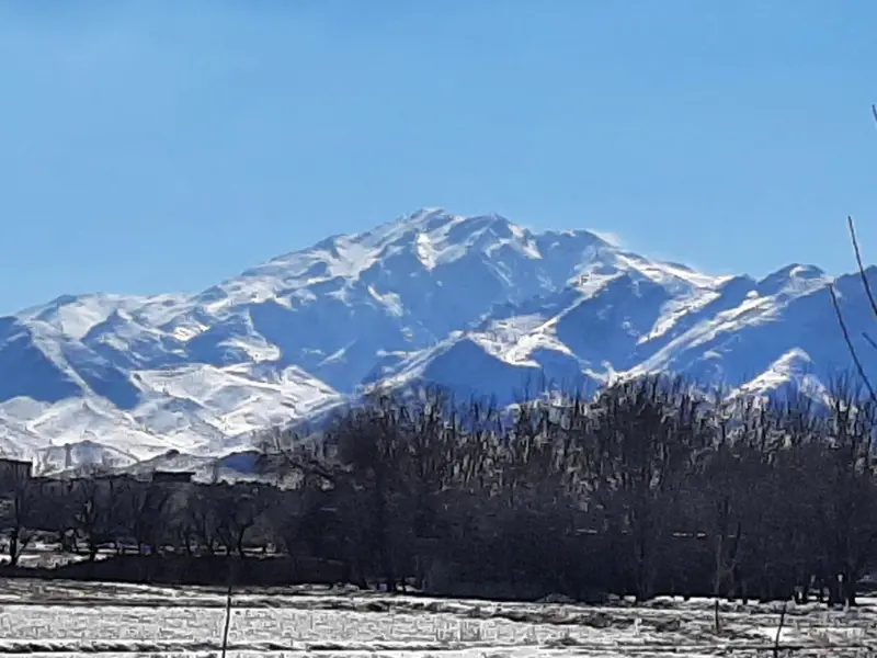 کوه بل - تصویر 7