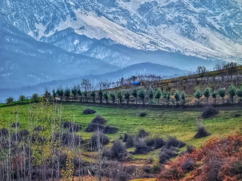 روستای میانا - تصویر 12
