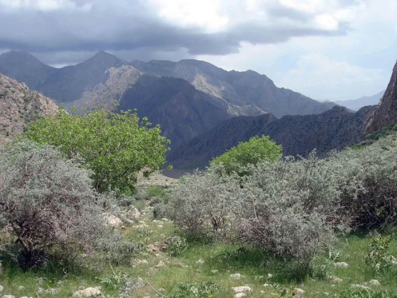 قله عالیور - تصویر 1