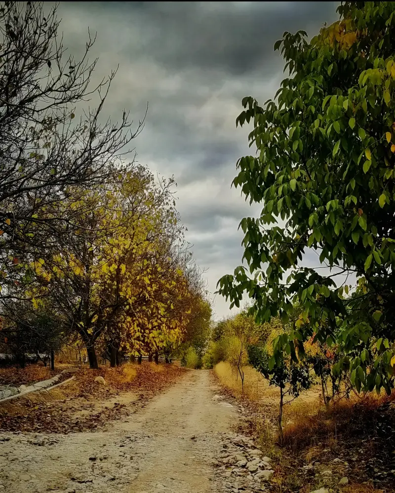 روستای گریوان - تصویر 4
