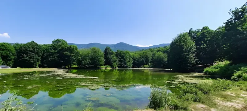 آب‌بندان باغ گلبن - تصویر 3