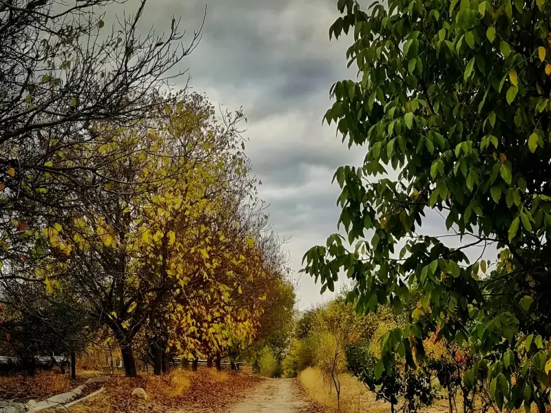 روستای گریوان - تصویر 4
