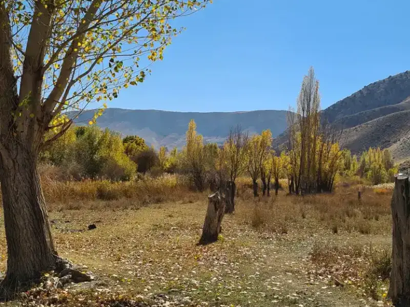 روستای هرانده - تصویر 10