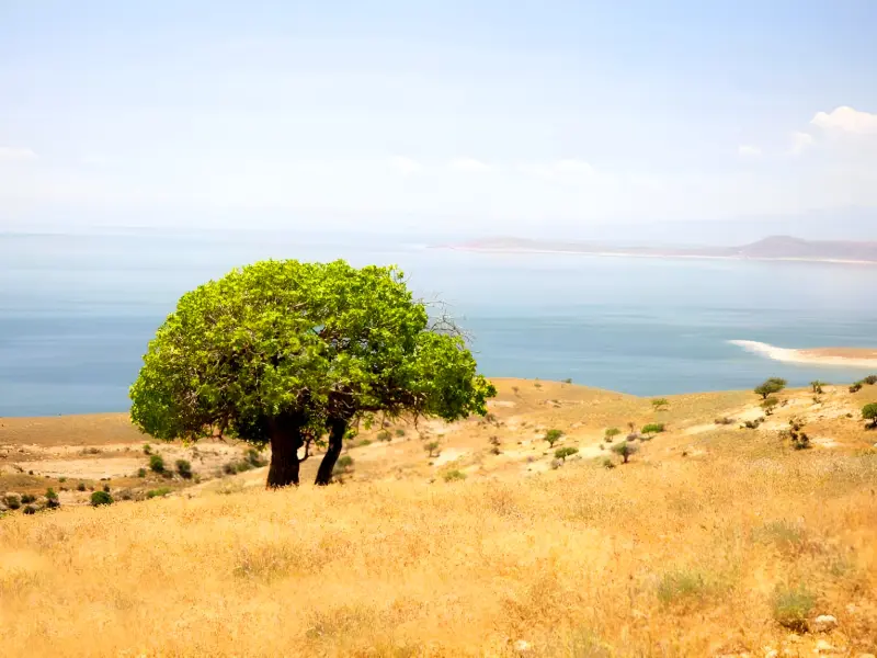 جزیره اشک