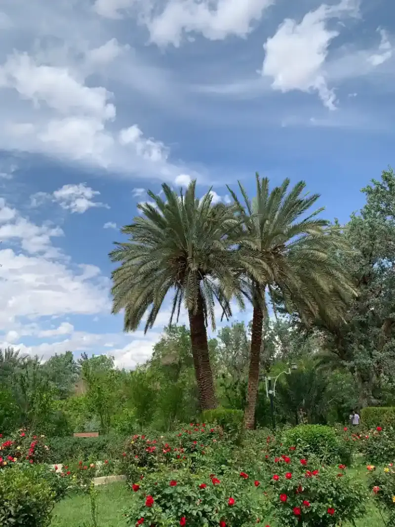 باغ گلشن طبس - تصویر 8