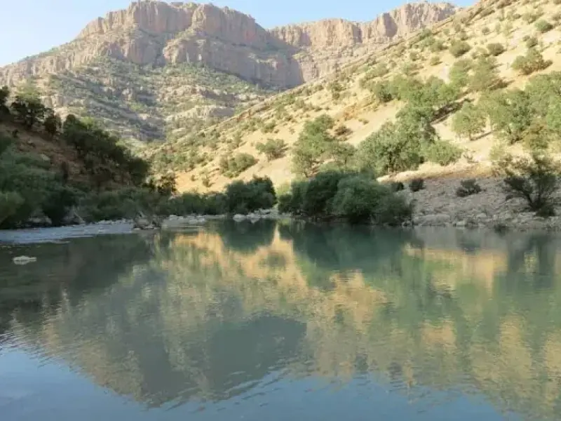 تنگ خرانداز