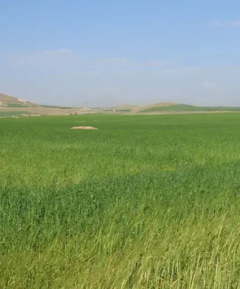 پناهگاه حیات‌وحش سوتاو حمامیان، آذربایجان غربی