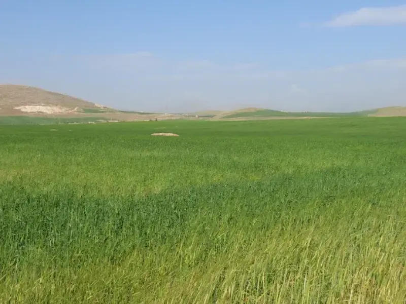 پناهگاه حیات‌وحش سوتاو حمامیان