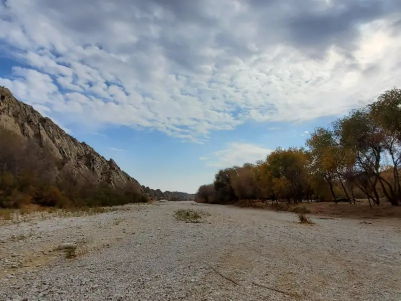 جنگل گلوبردکان - تصویر 3