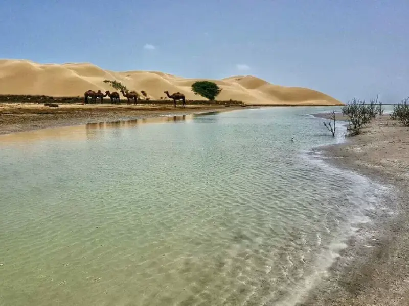 بندر تنگ