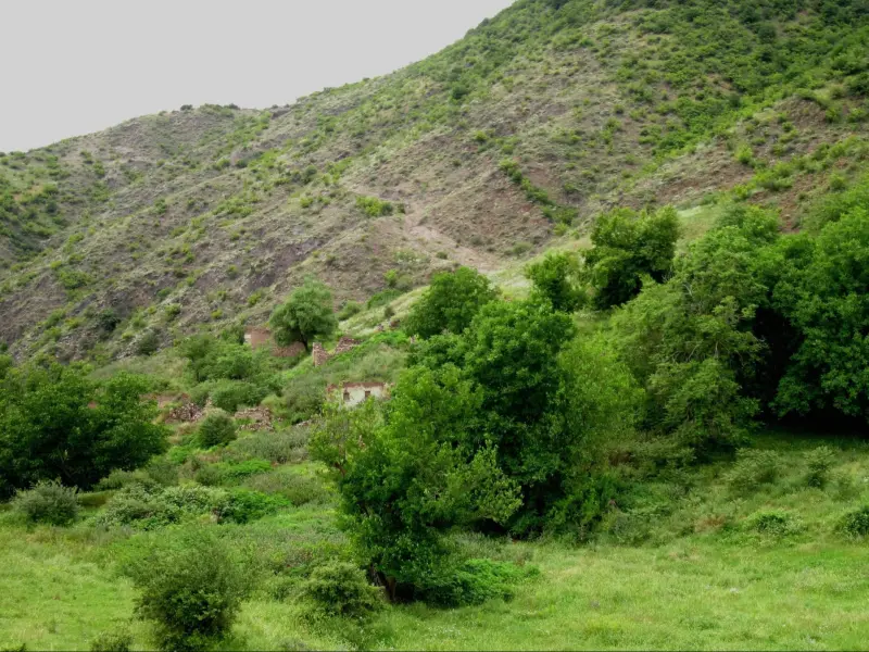 تفرجگاه سورین