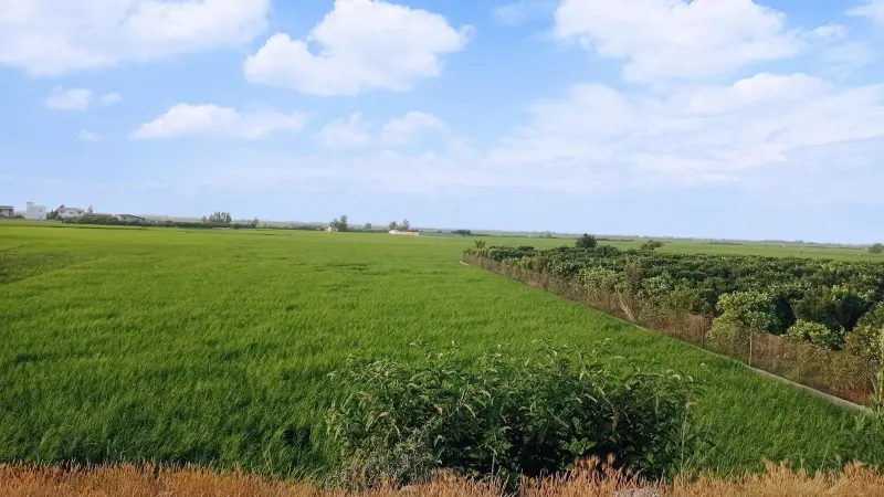 آب‌بندان پایین زرین کلا - تصویر 4