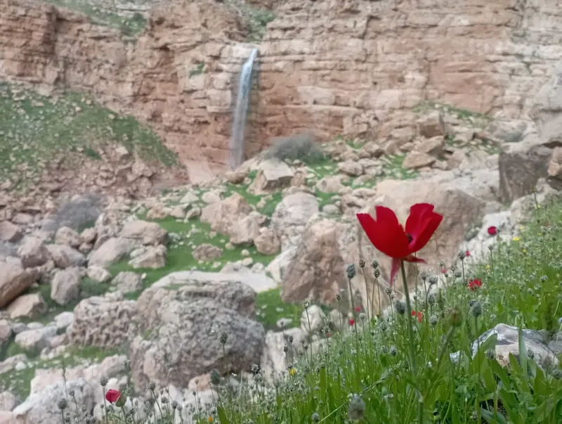 آبشار آبتاف - تصویر 7