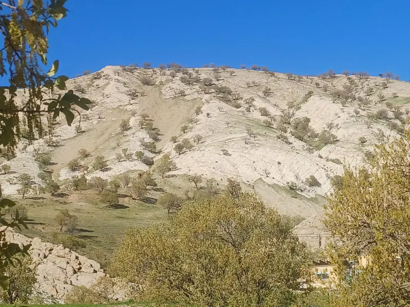 منطقه حفاظت شده دینارکوه - تصویر 2