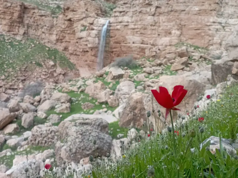 آبشار آبتاف - تصویر 7
