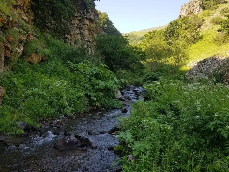 آبشار کولیار - تصویر 4