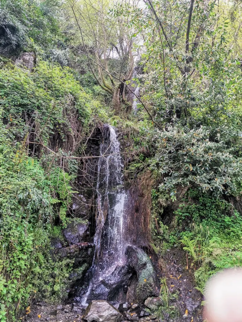 آبشار جنگلی لیالستان - تصویر 2