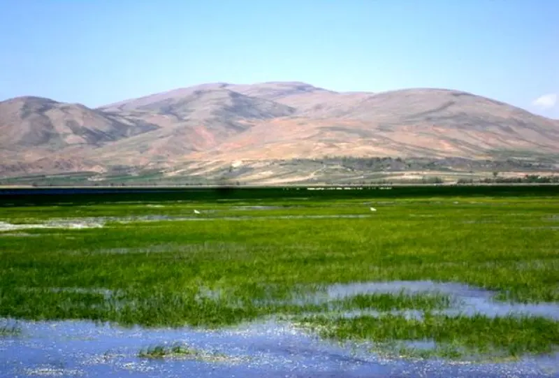 تالاب گندمان - تصویر 7