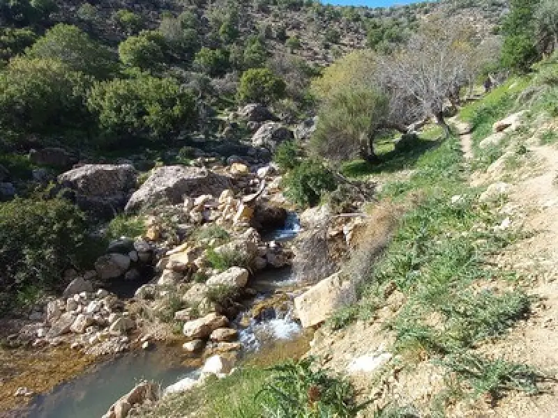 تنگ خانی - تصویر 9