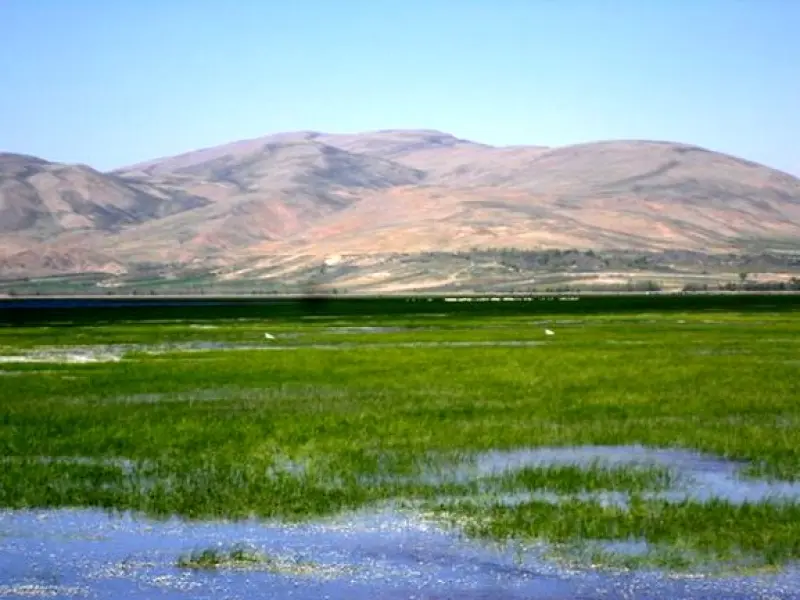تالاب گندمان - تصویر 7