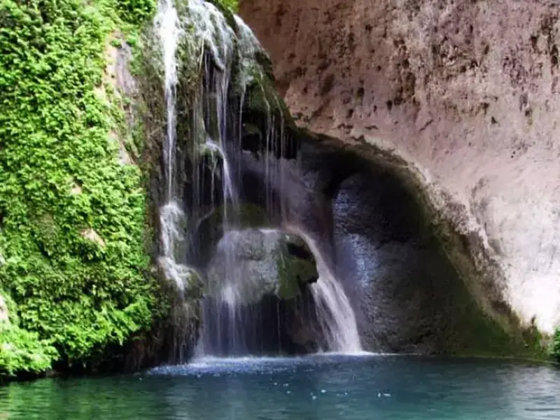 تنگ دم اسب - تصویر 1