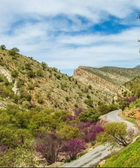 تنگه ارغوان، ایلام