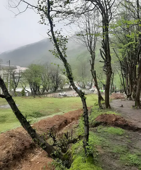 پارک جنگلی درنیکا، گیلان