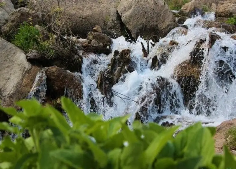 چشمه میشی - تصویر 2