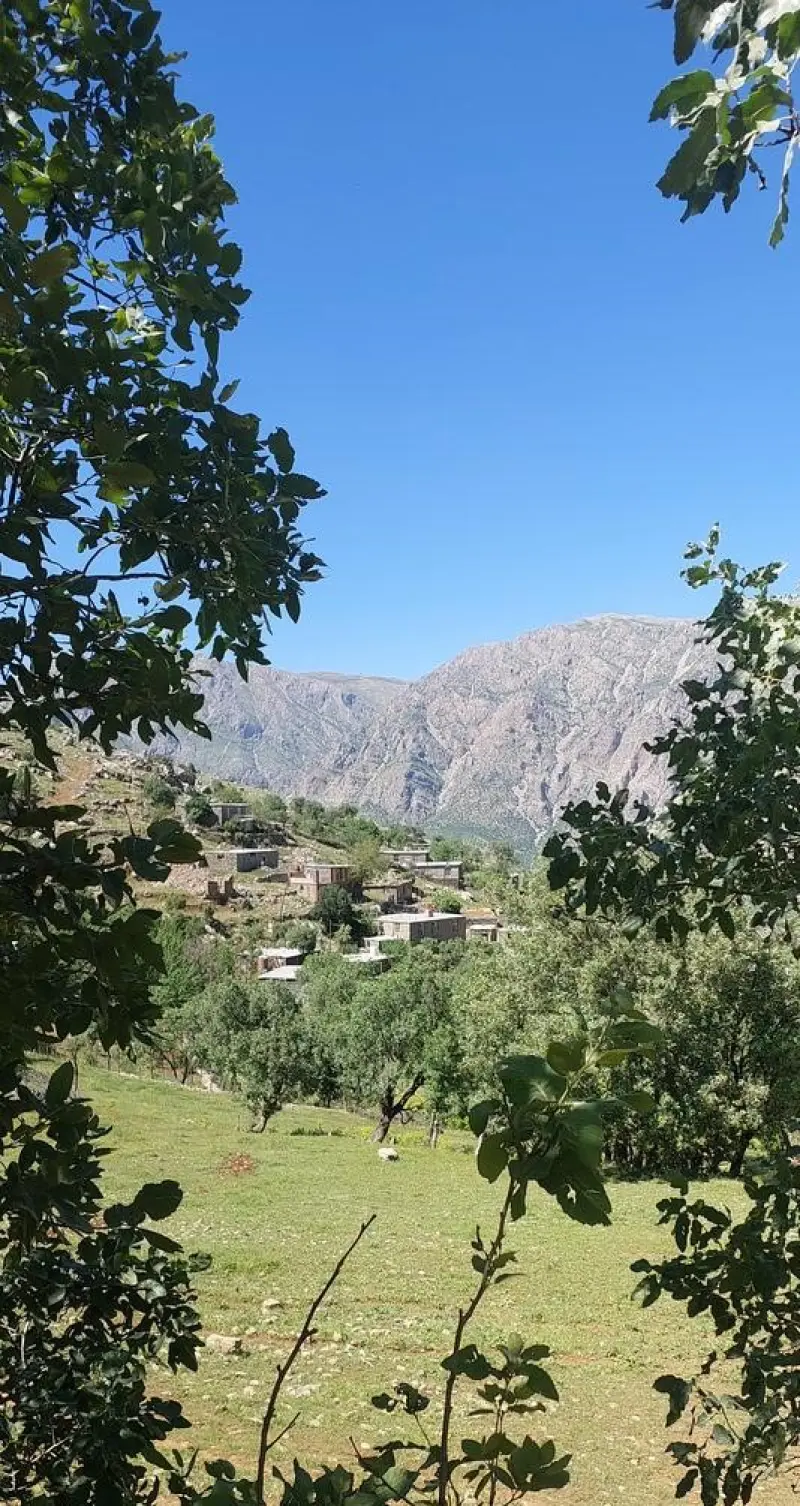 روستای کلجی - تصویر 1