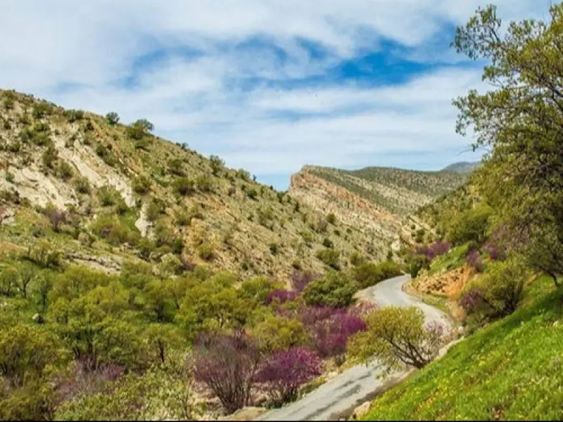 تنگه ارغوان