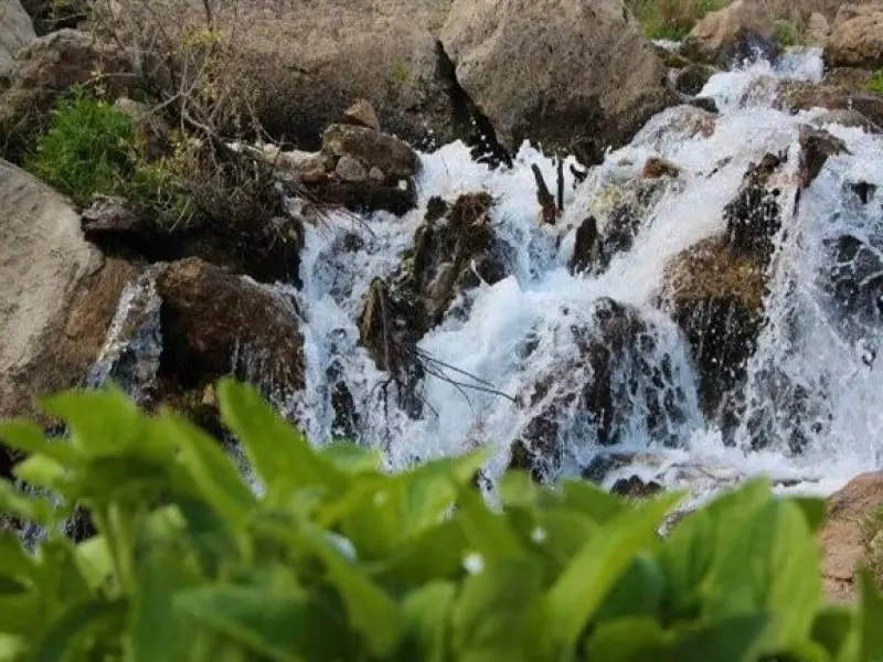 چشمه میشی - تصویر 2