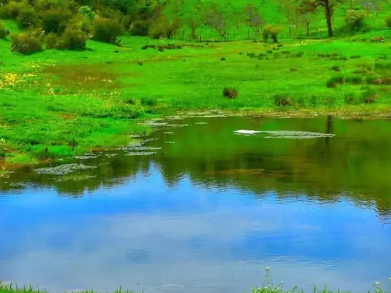 روستای داماش - تصویر 2