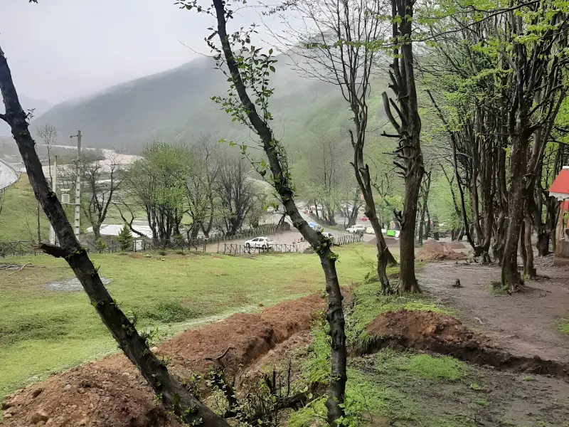 پارک جنگلی درنیکا