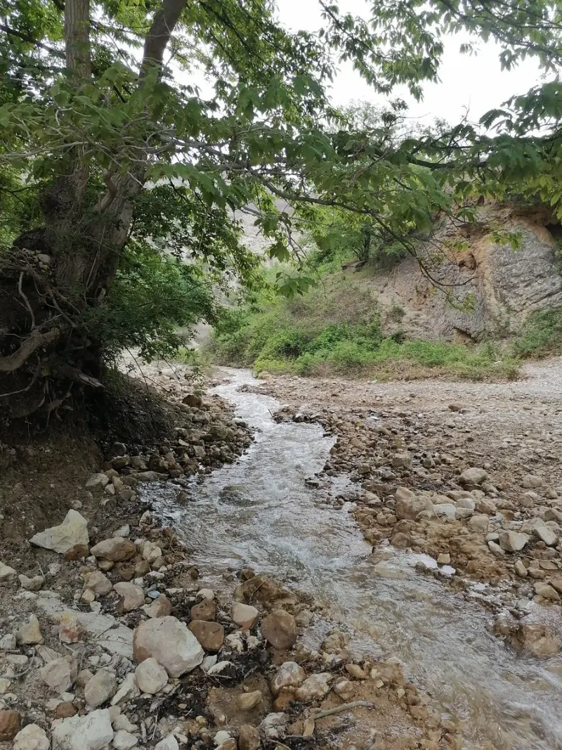 دره کنگره‌ - تصویر 5