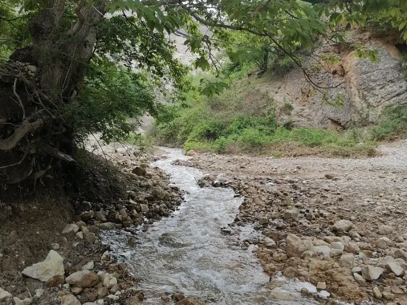 دره کنگره‌ - تصویر 5