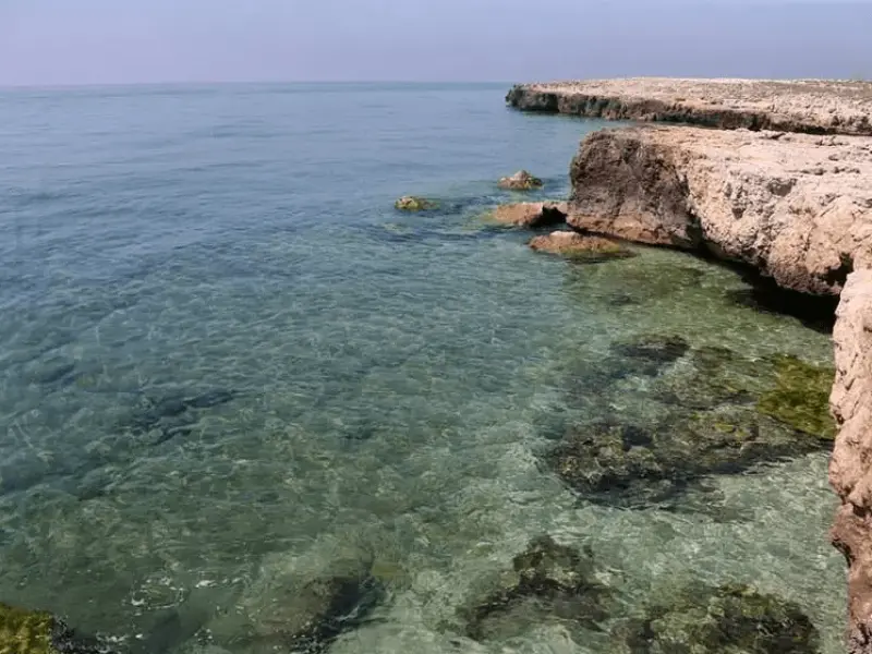 جزیره فارور بزرگ - تصویر 2