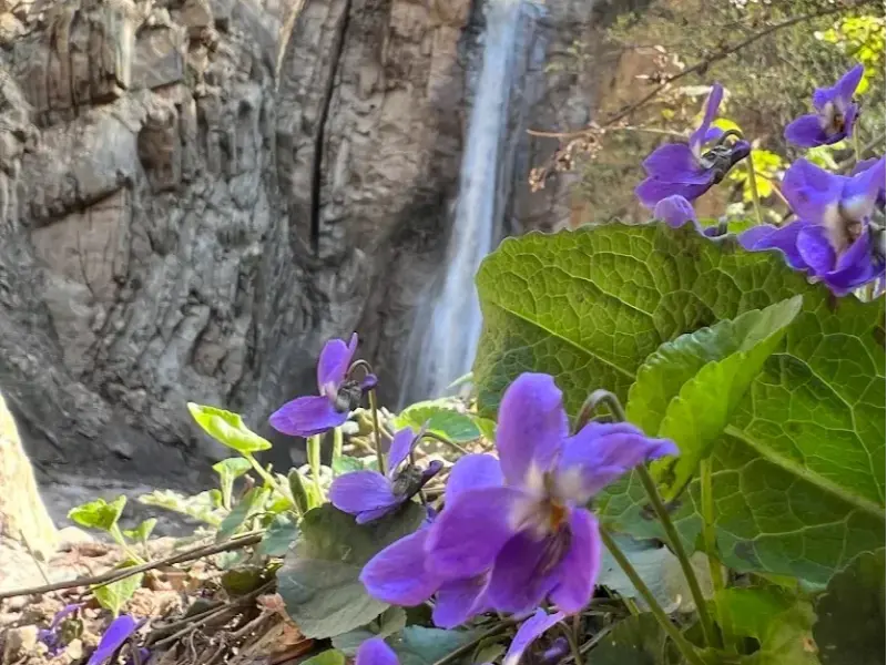 آبشار چلی - تصویر 6