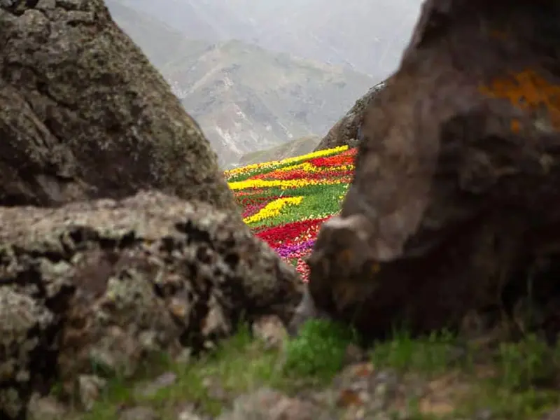 روستای کندر - تصویر 1