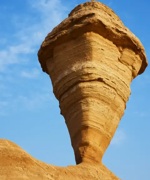 کلوت بلوط، بوشهر