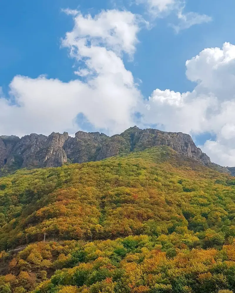روستای سیاه بیشه - تصویر 7