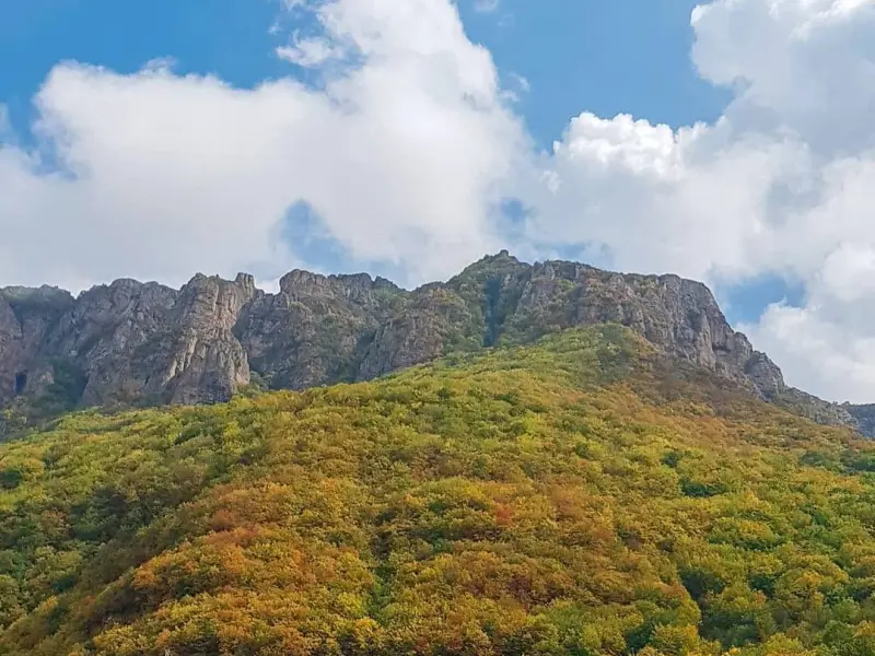روستای سیاه بیشه - تصویر 7