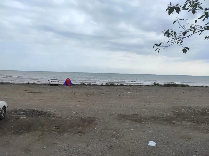 ساحل خلج - تصویر 1